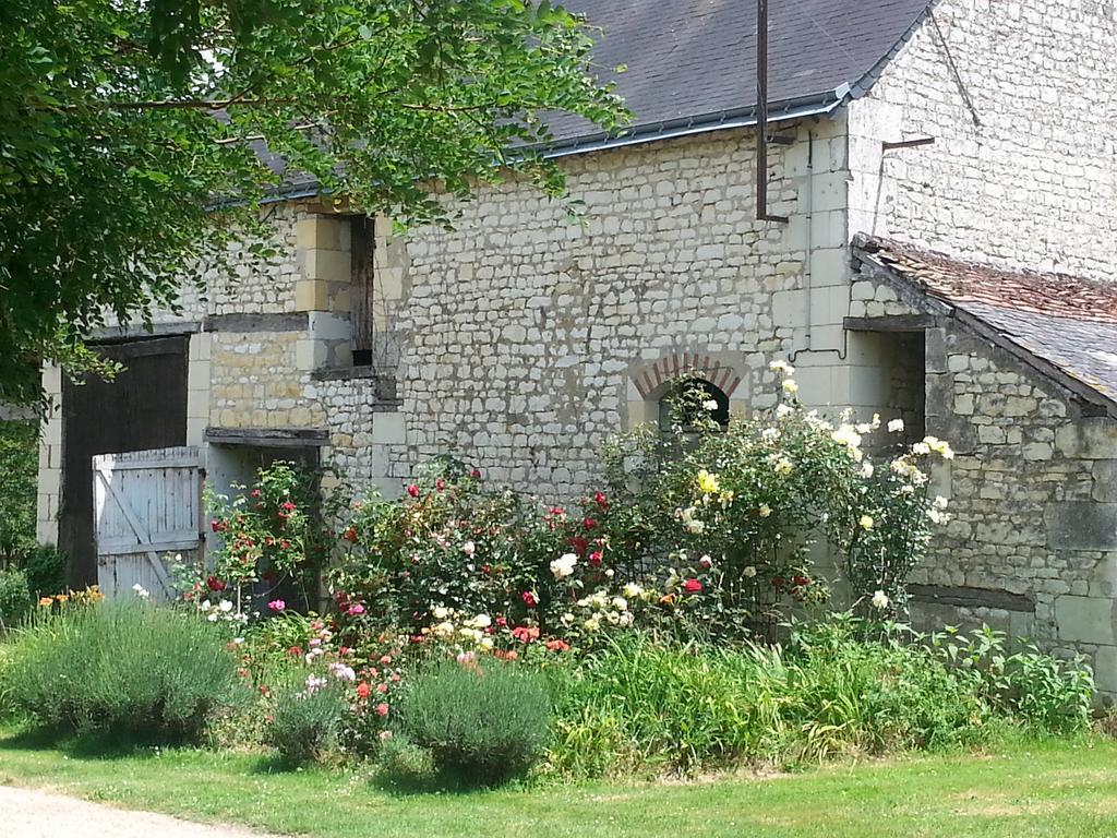 La Cle Des Jardins Bed & Breakfast Nouatre Bagian luar foto