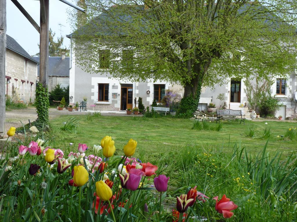 La Cle Des Jardins Bed & Breakfast Nouatre Bagian luar foto